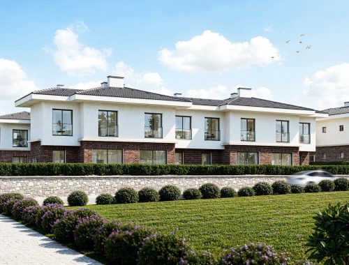 saygin-trend-menekse (2)_1