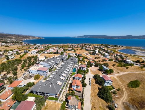 saygin-trend-palmiye-dis (7)