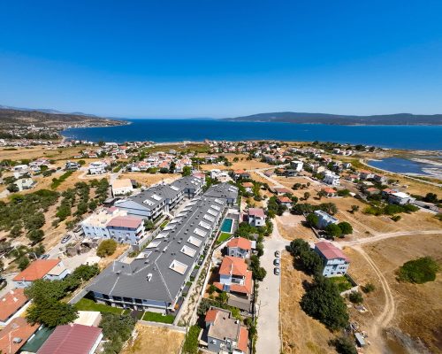 saygin-trend-palmiye-dis (7)